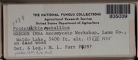 Image Associated With the Occurence